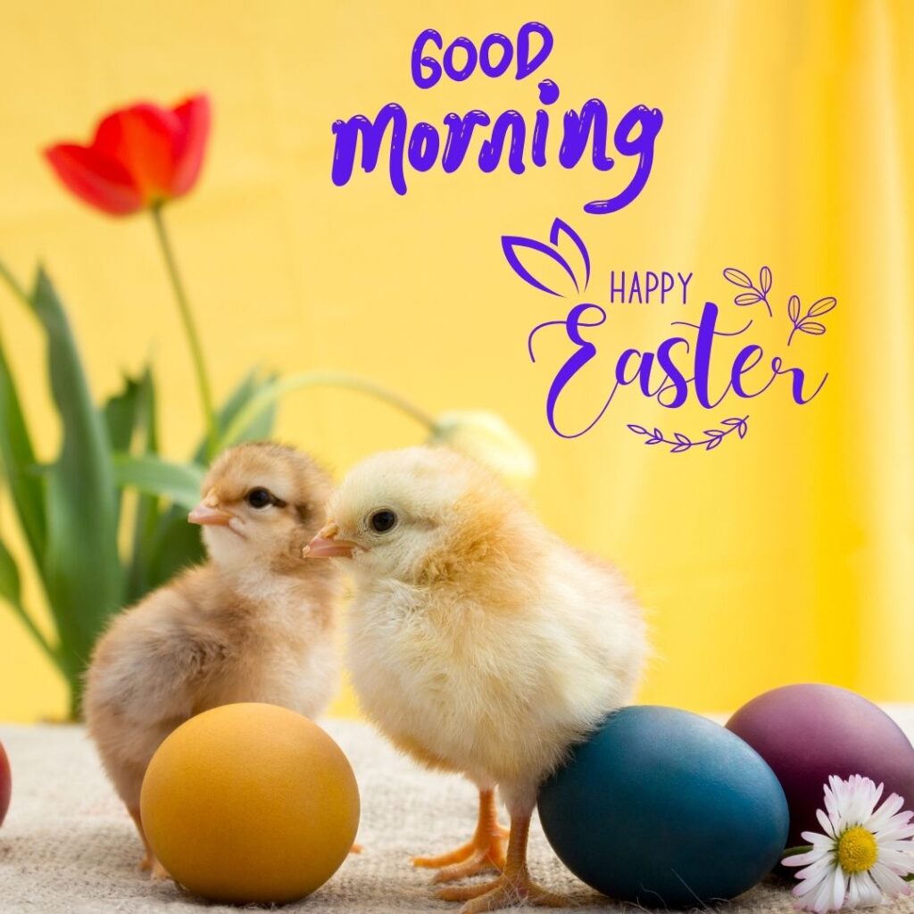 Happy Good Morning Easter images free