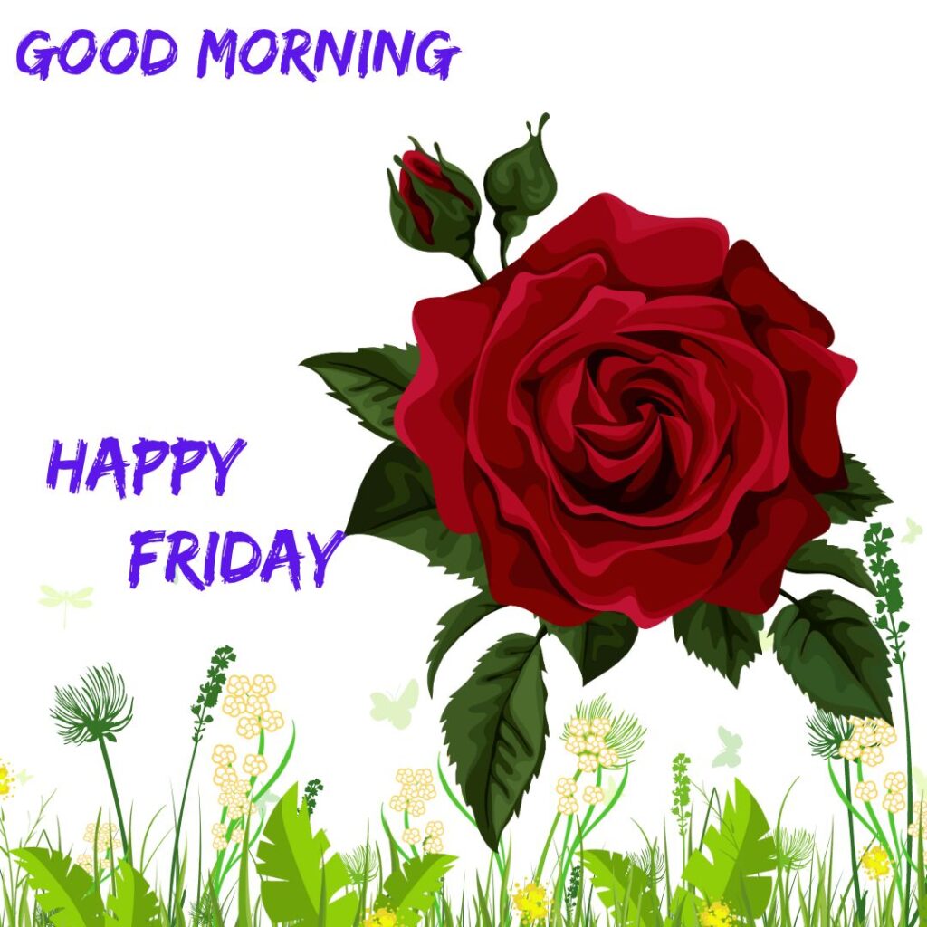 Good Morning Friday Images for her