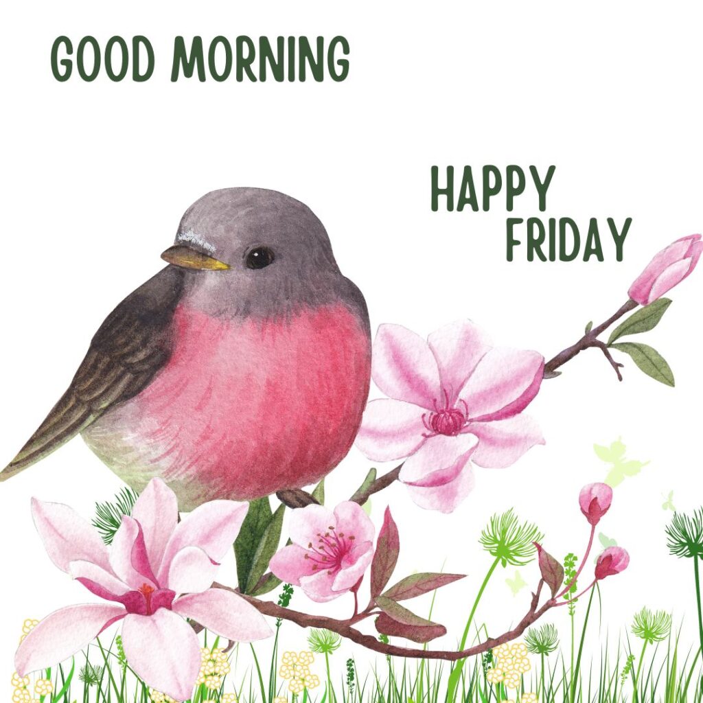 Good Morning Friday Bird Images