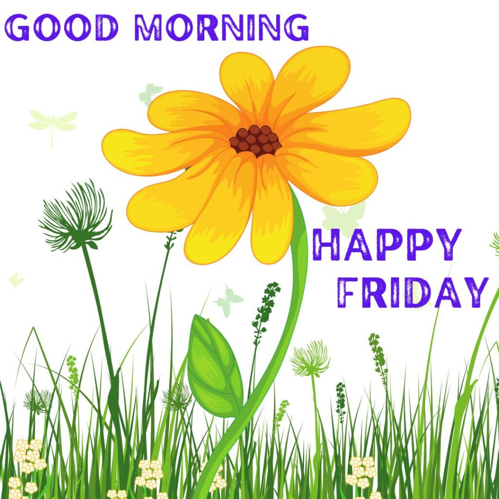 Best Good Morning Friday Wishes