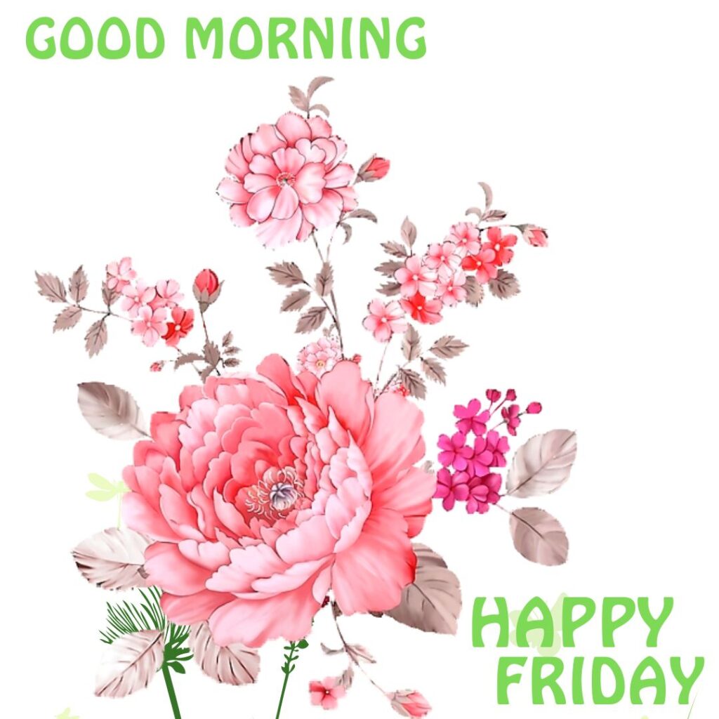 Good Morning Friday Rose Images