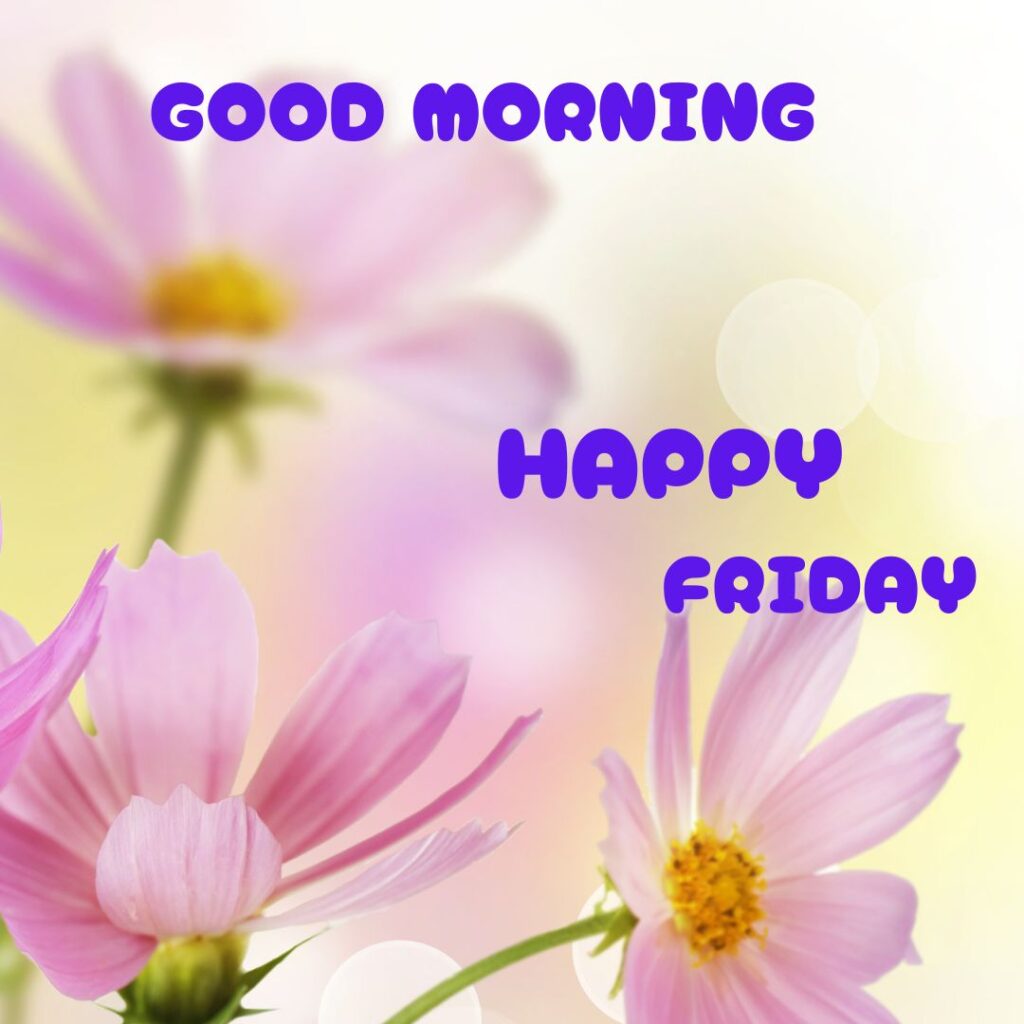 Good Morning Friday Images Hd