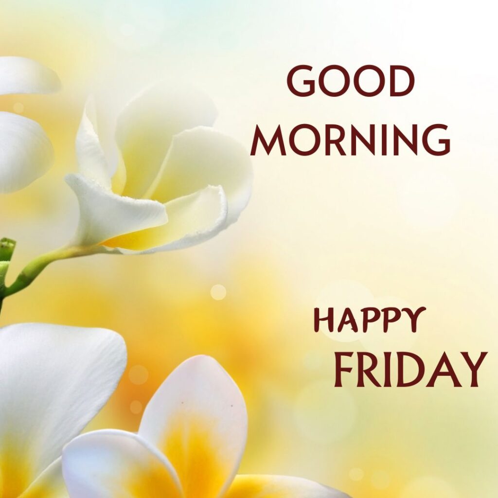 Good Morning Friday Jasmine Images