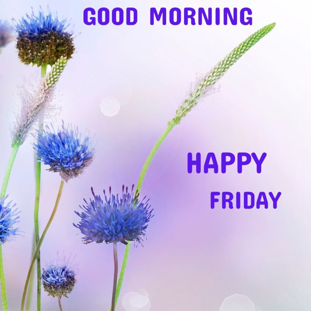 Good Morning Friday Hd Images