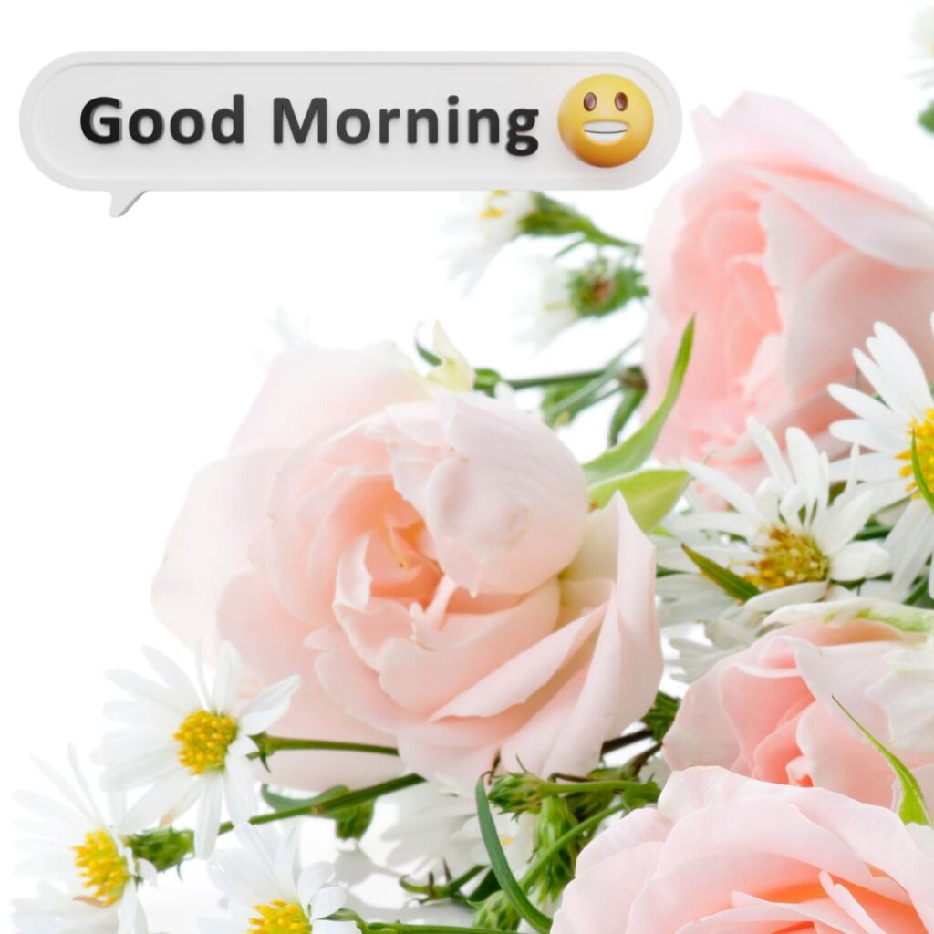 Good Morning Images wishes