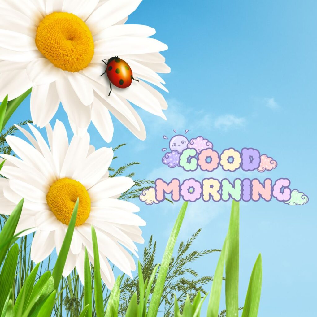 Good Morning Images Hd new