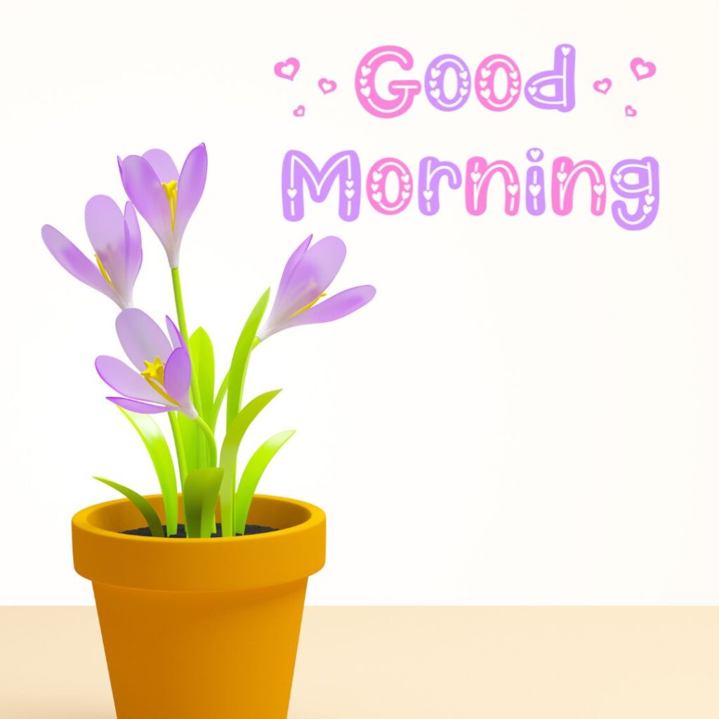 Good Morning Images Hd