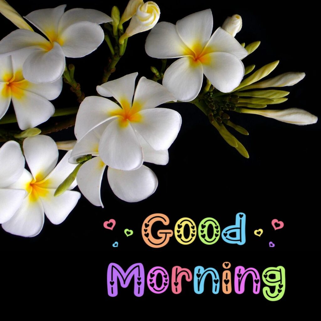 Best Good Morning Images Hd