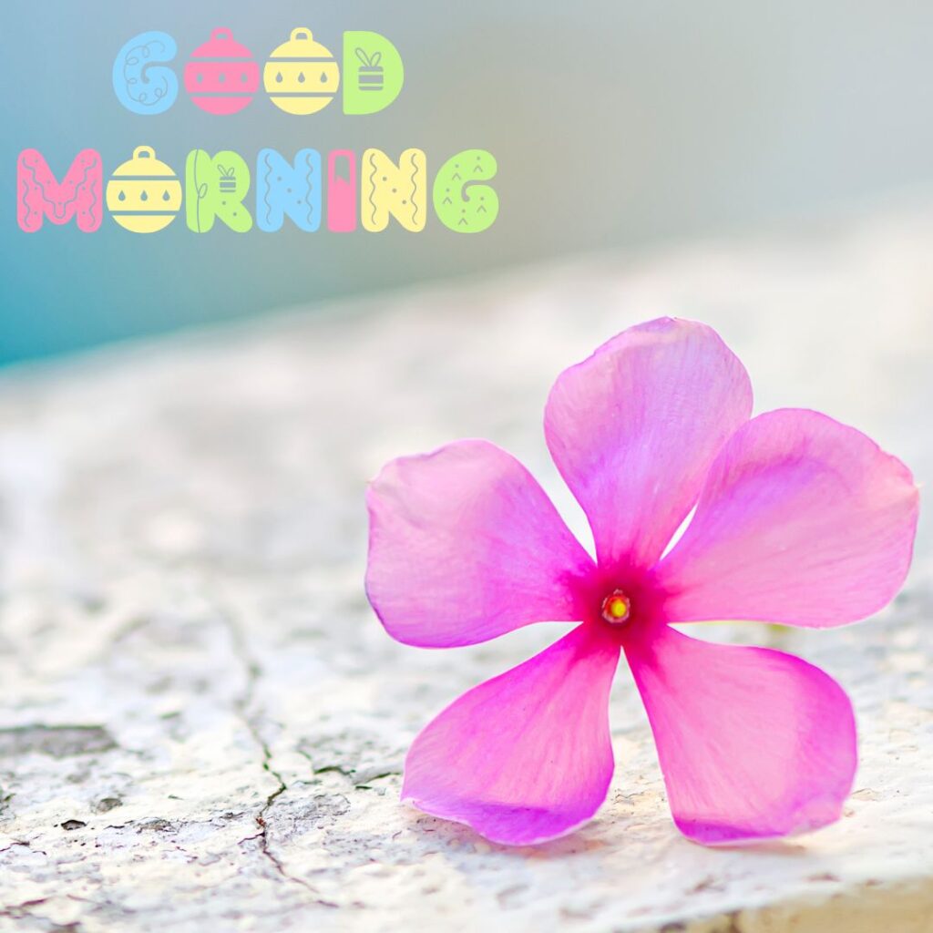 Good Morning Images Hd