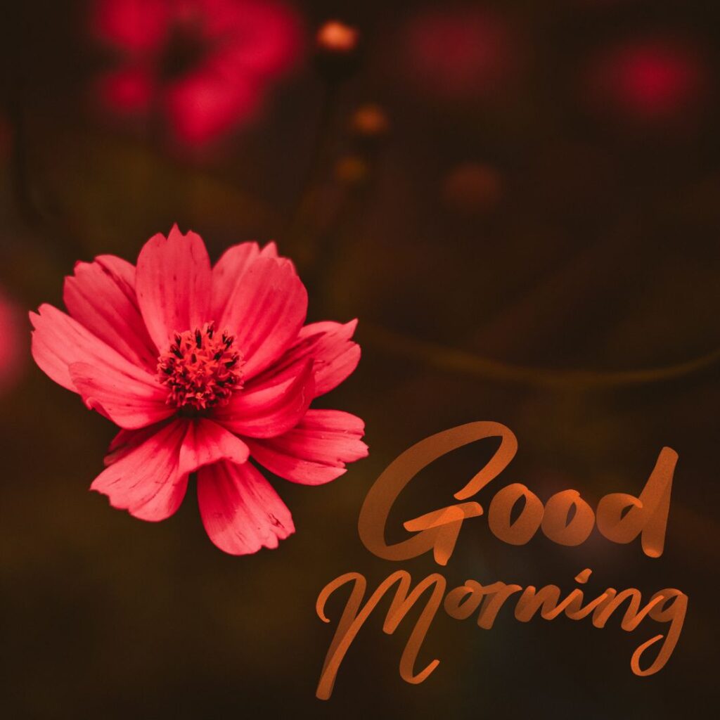 Good Morning Images Hd