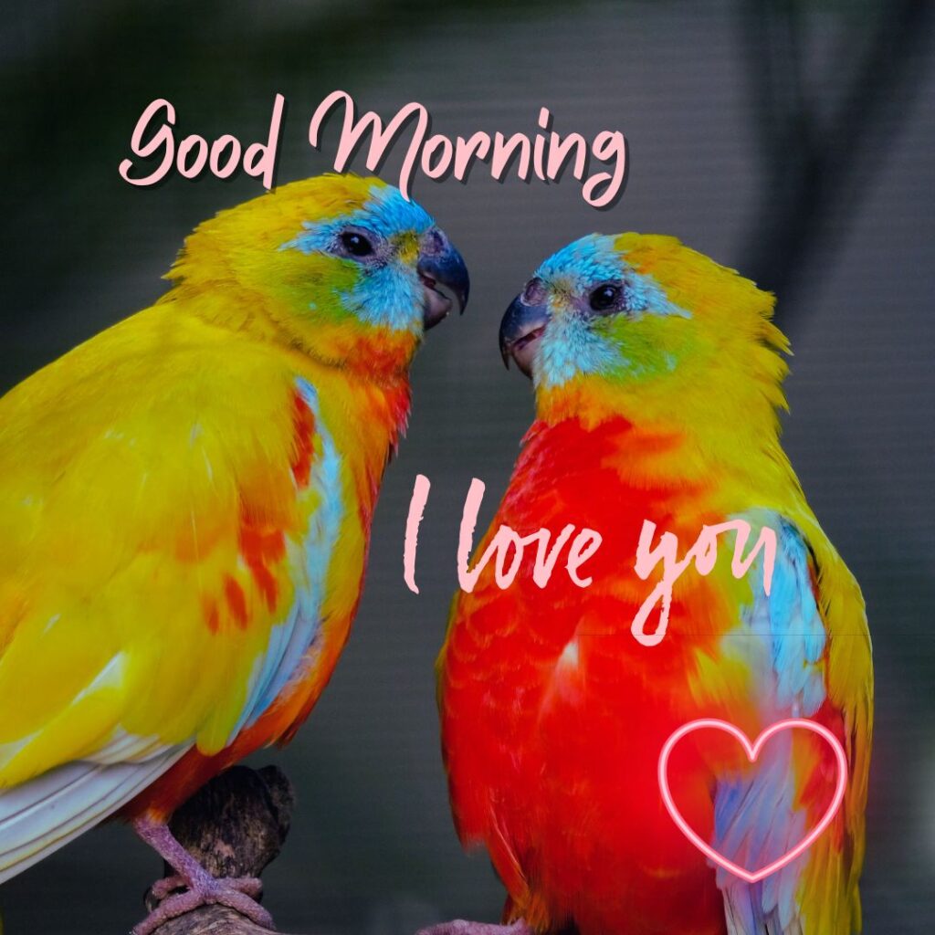 Good Morning Images for Love hd