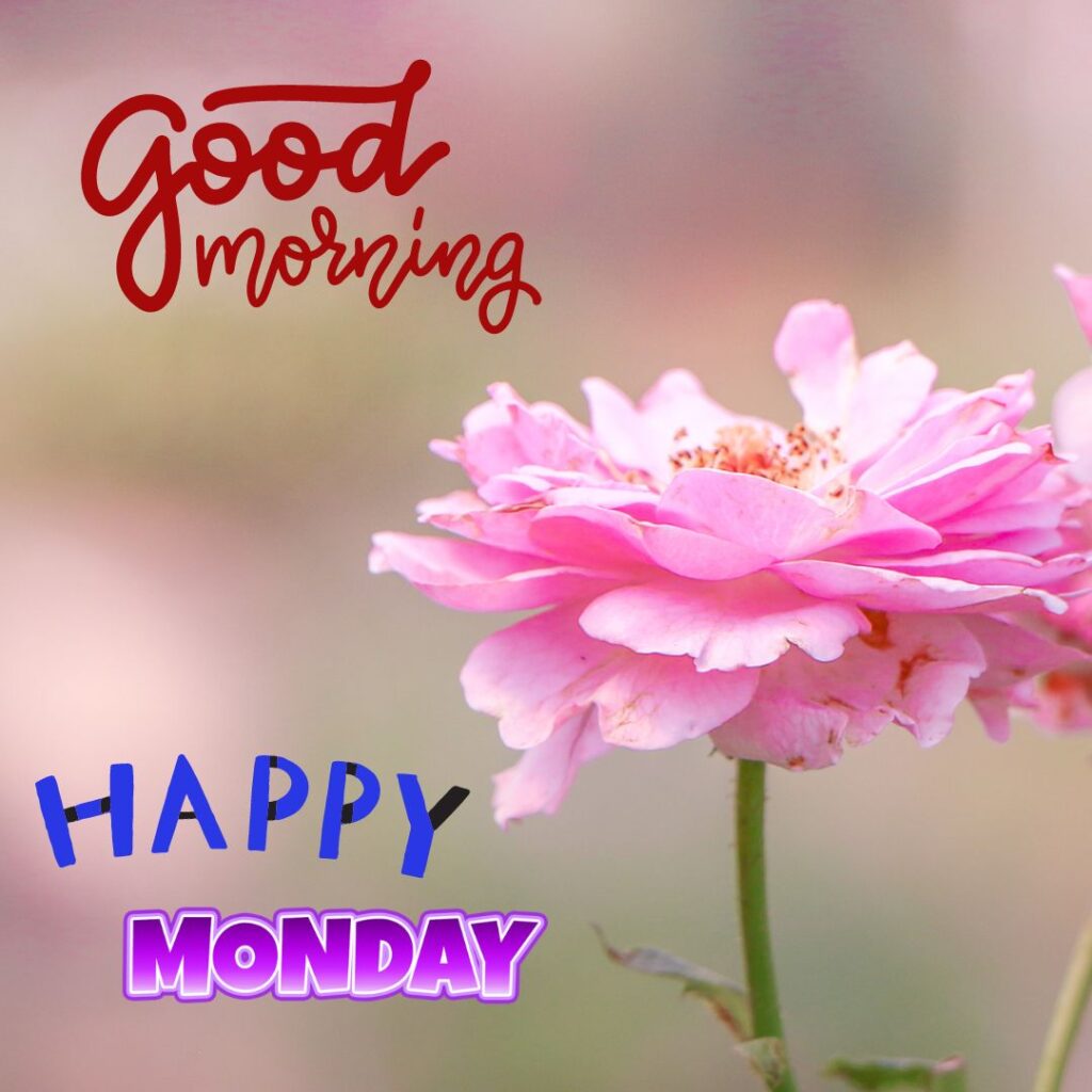 Good Morning Monday Images