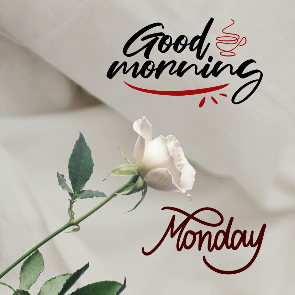 Download Good Morning Monday Images