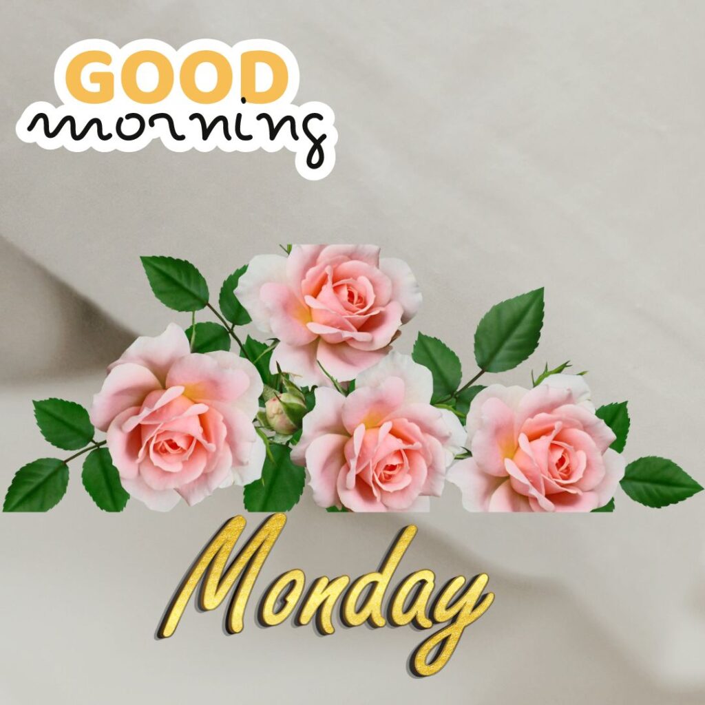 Good Morning Monday Wallpaper