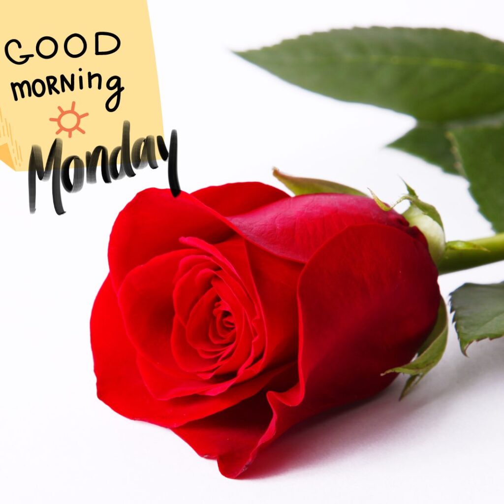 Good Morning Monday Images 1080p download