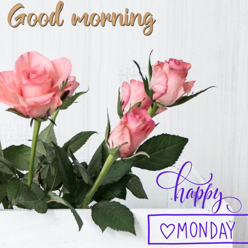 Good Morning Heart Monday Images