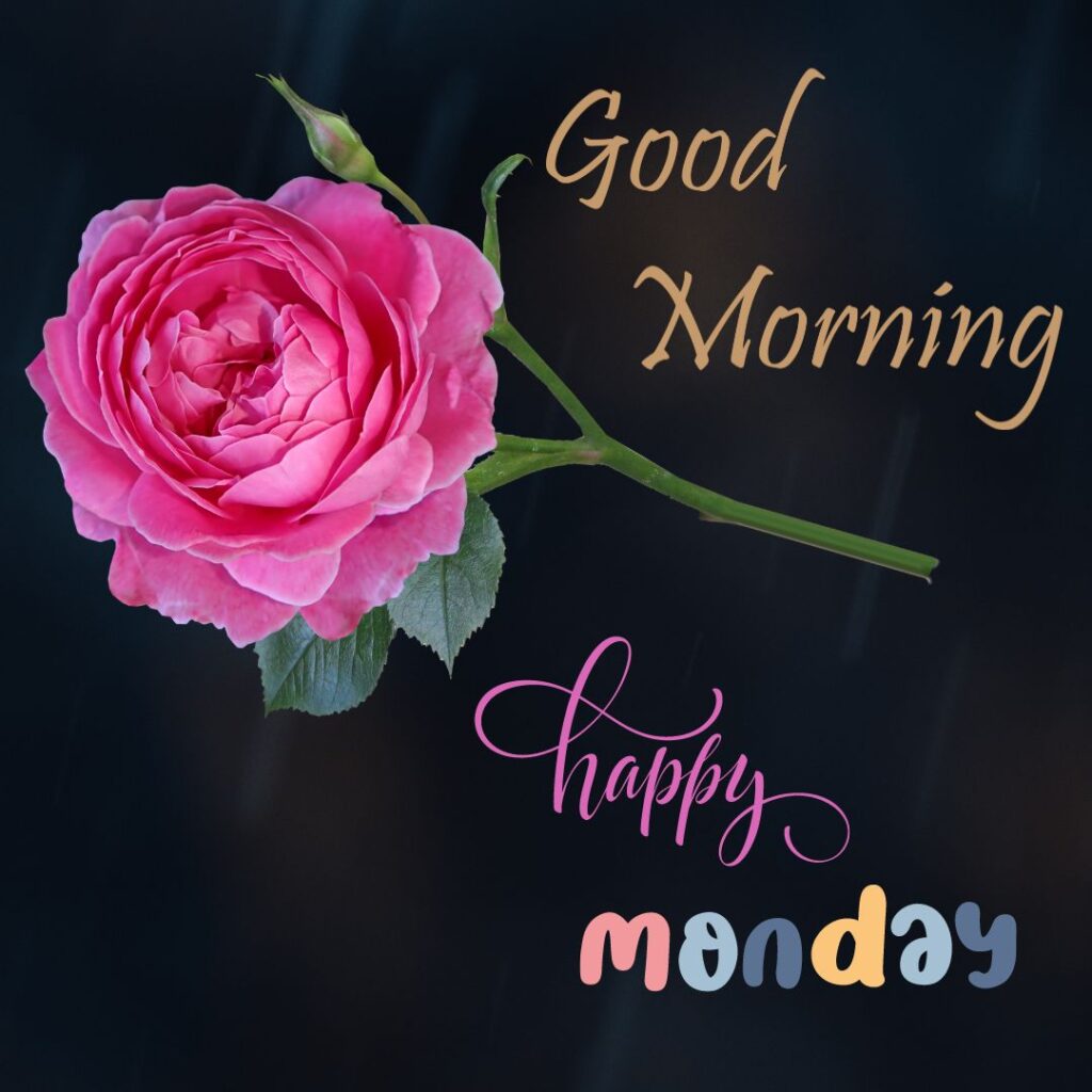 Good Morning Monday New Hd Images