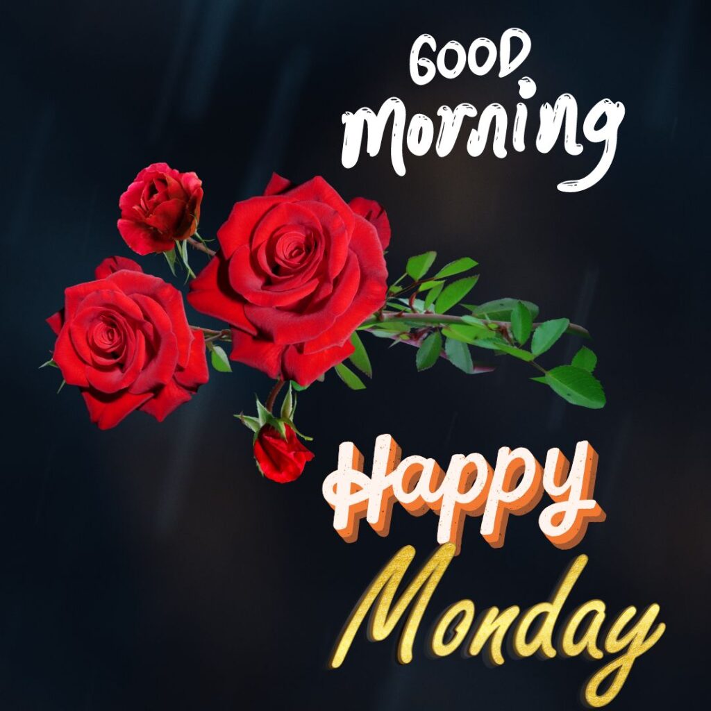 Happy Good Morning Monday Images for WhatsApp Download 