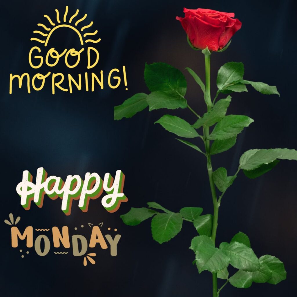 Happy Good Morning Monday Images New