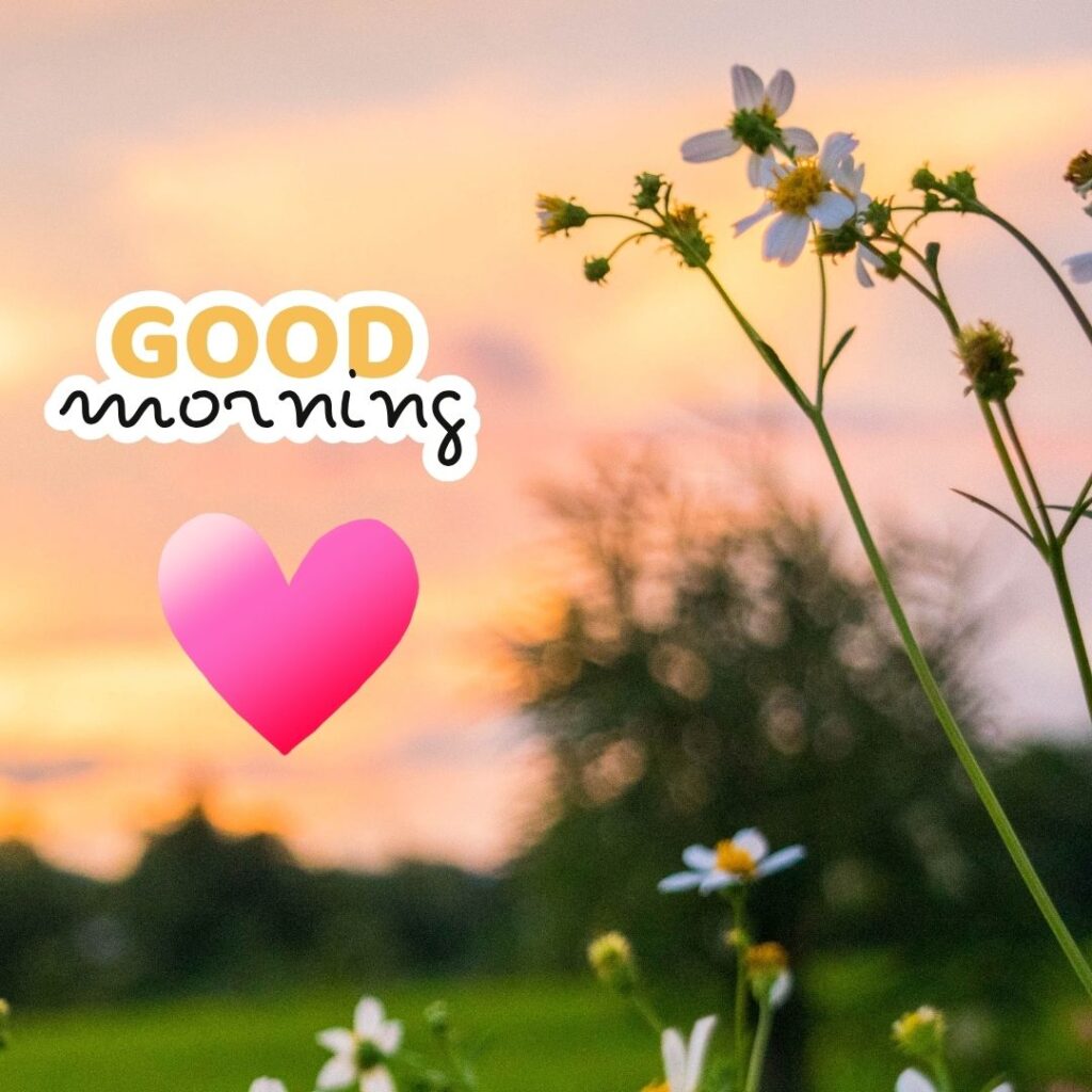 Good Morning Love Nature Image