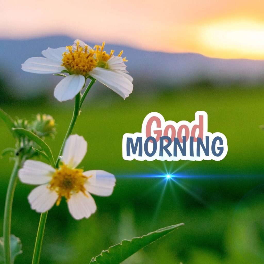 Good Morning Nature Images