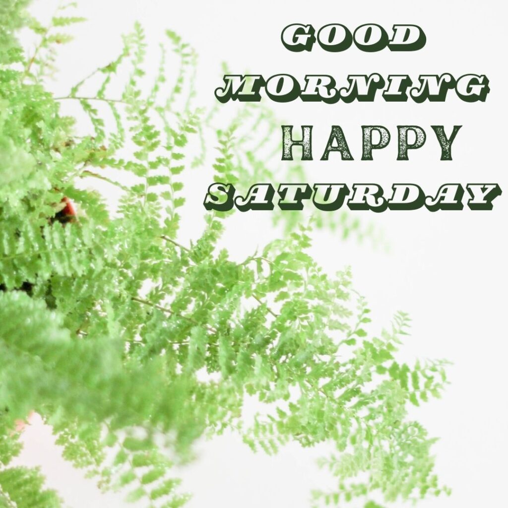 Good Morning Saturday gif Images