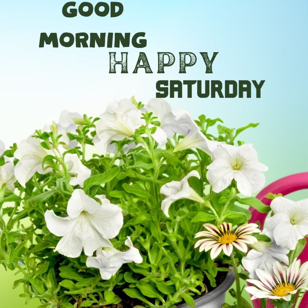 Good Morning Saturday Flower Images