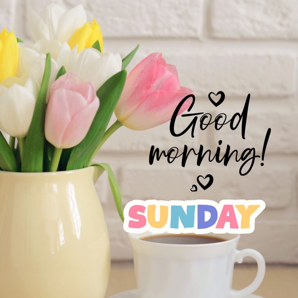 Good Morning Sunday Hd Images