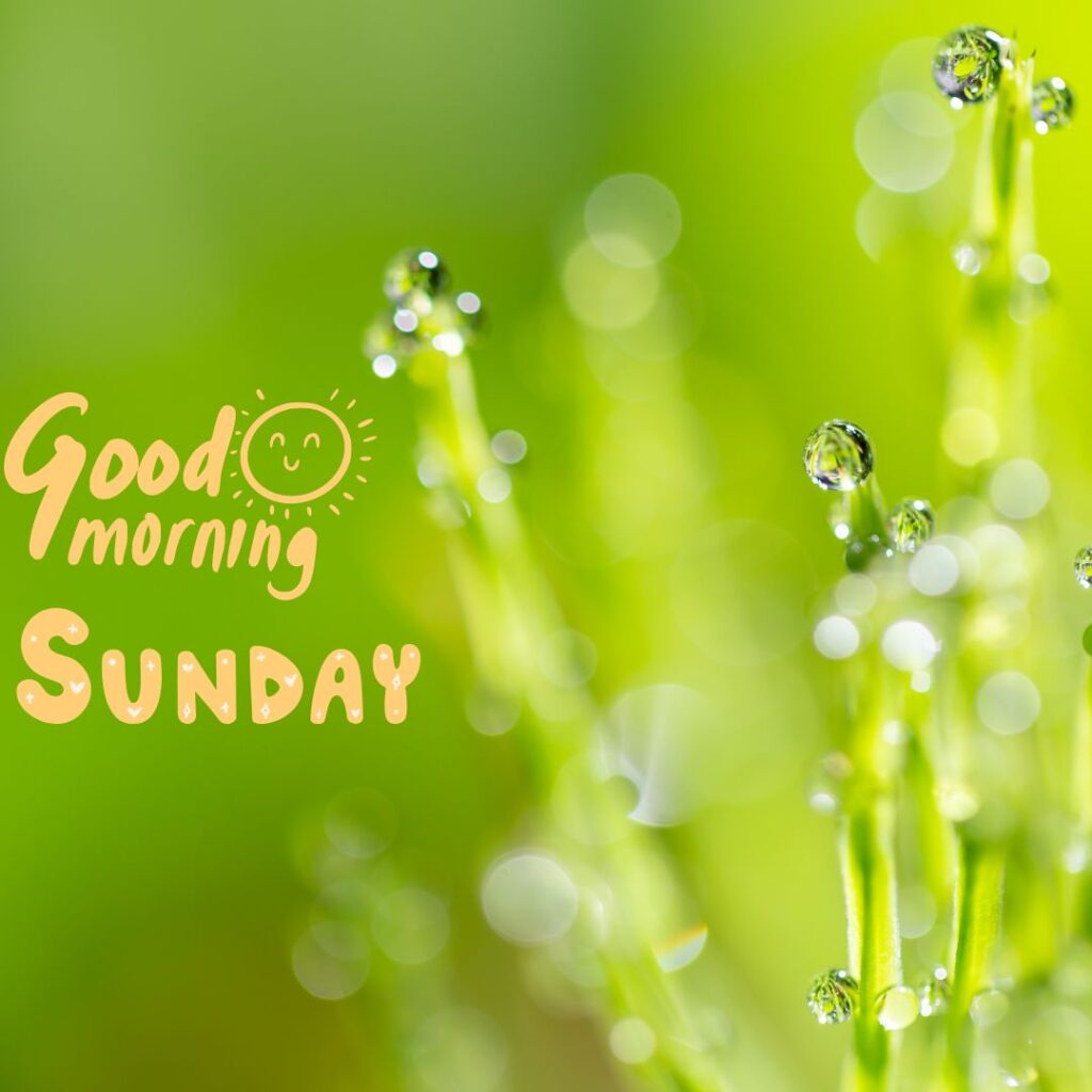 Happy Sunday Images