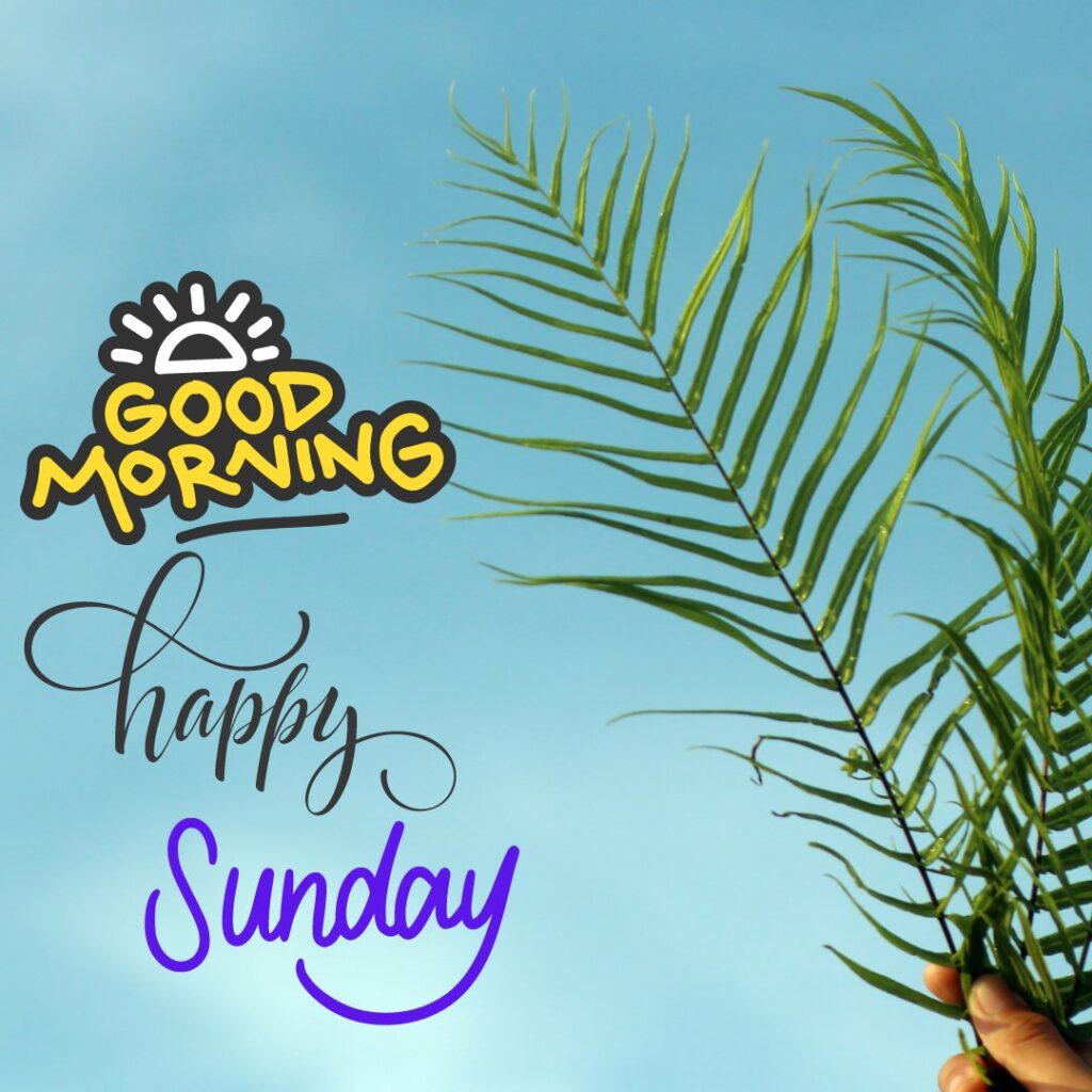 Holiday Good Morning Sunday Images