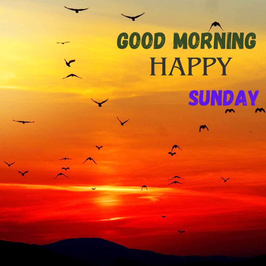 Good Morning Sunday Wishes