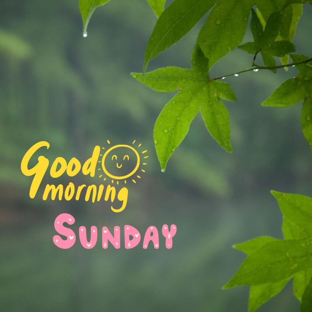 Happy Good Morning Sunday Images