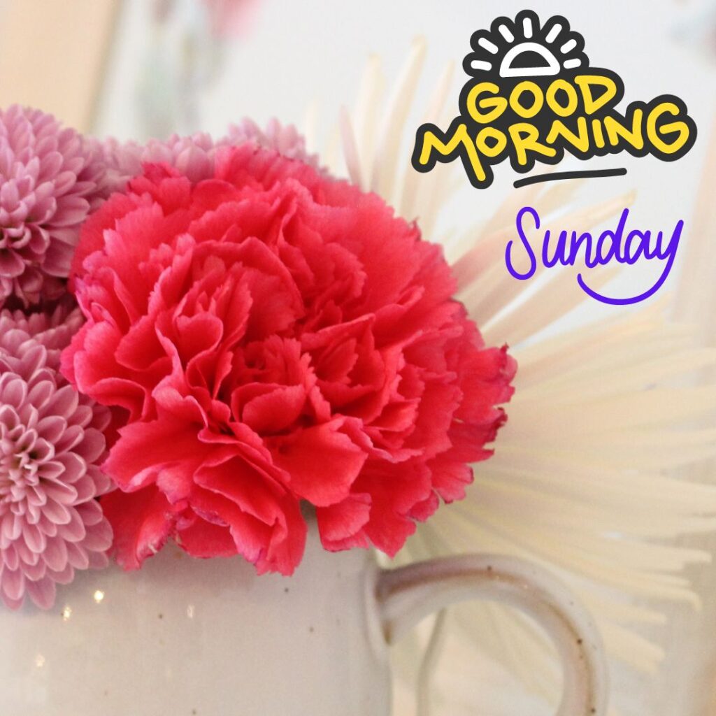 Good Morning Sunday colourfull Images