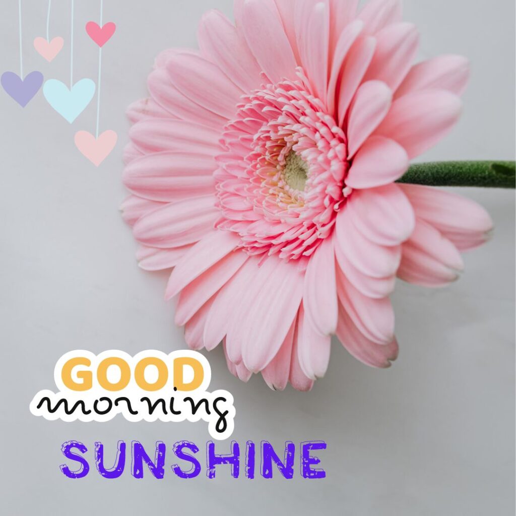 Good Morning Sunshine Images