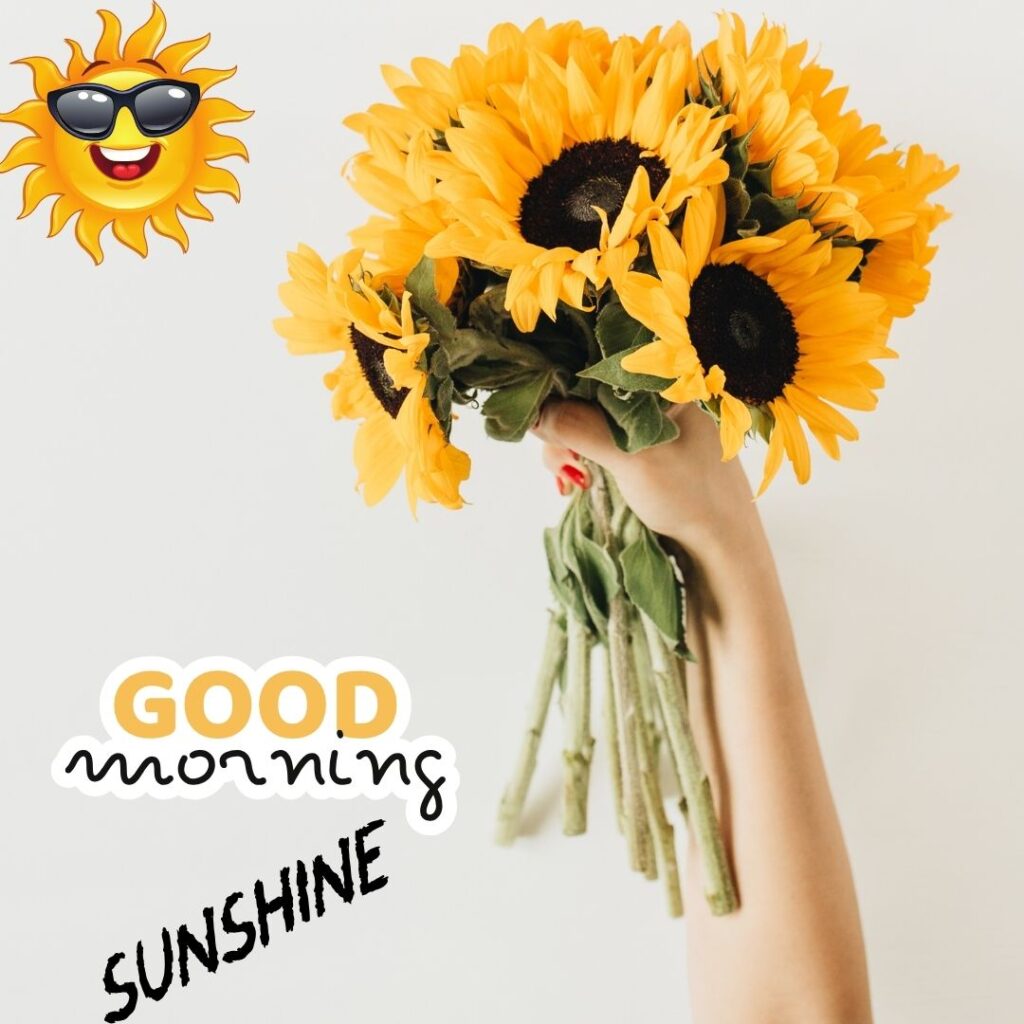 Good Morning Sunshine Images