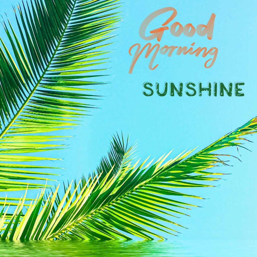 Good Morning Sunshine Images