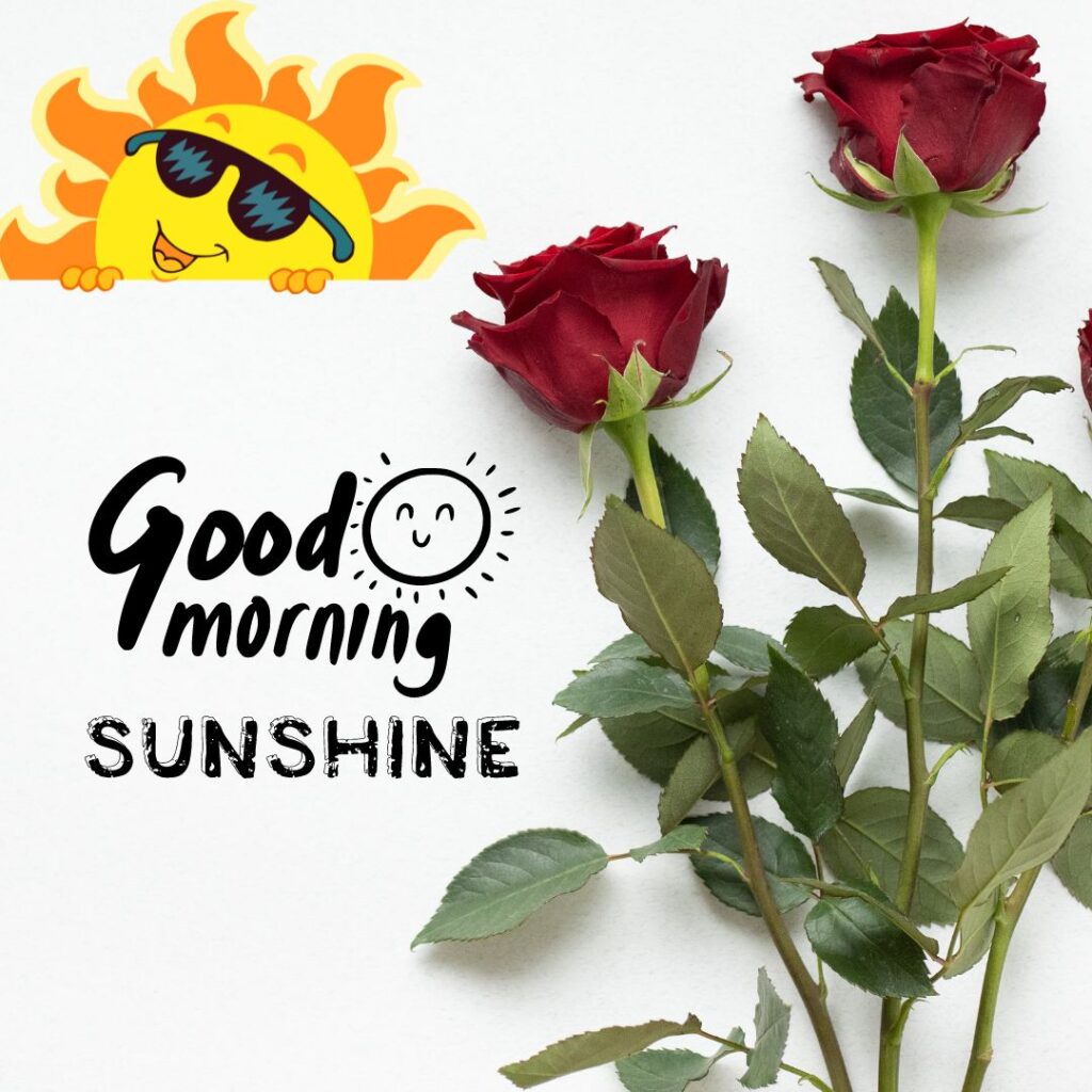 Good Morning Sunshine Images