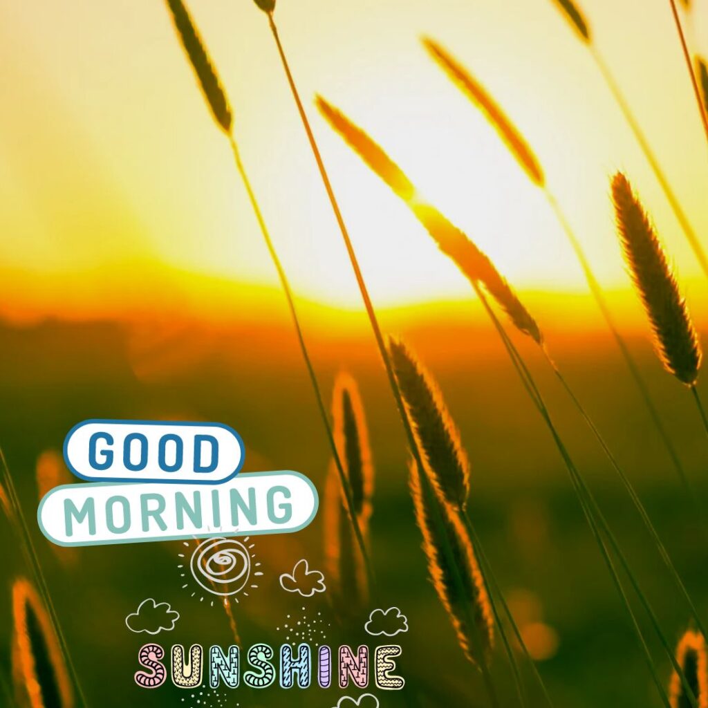 Good Morning Sunshine Images