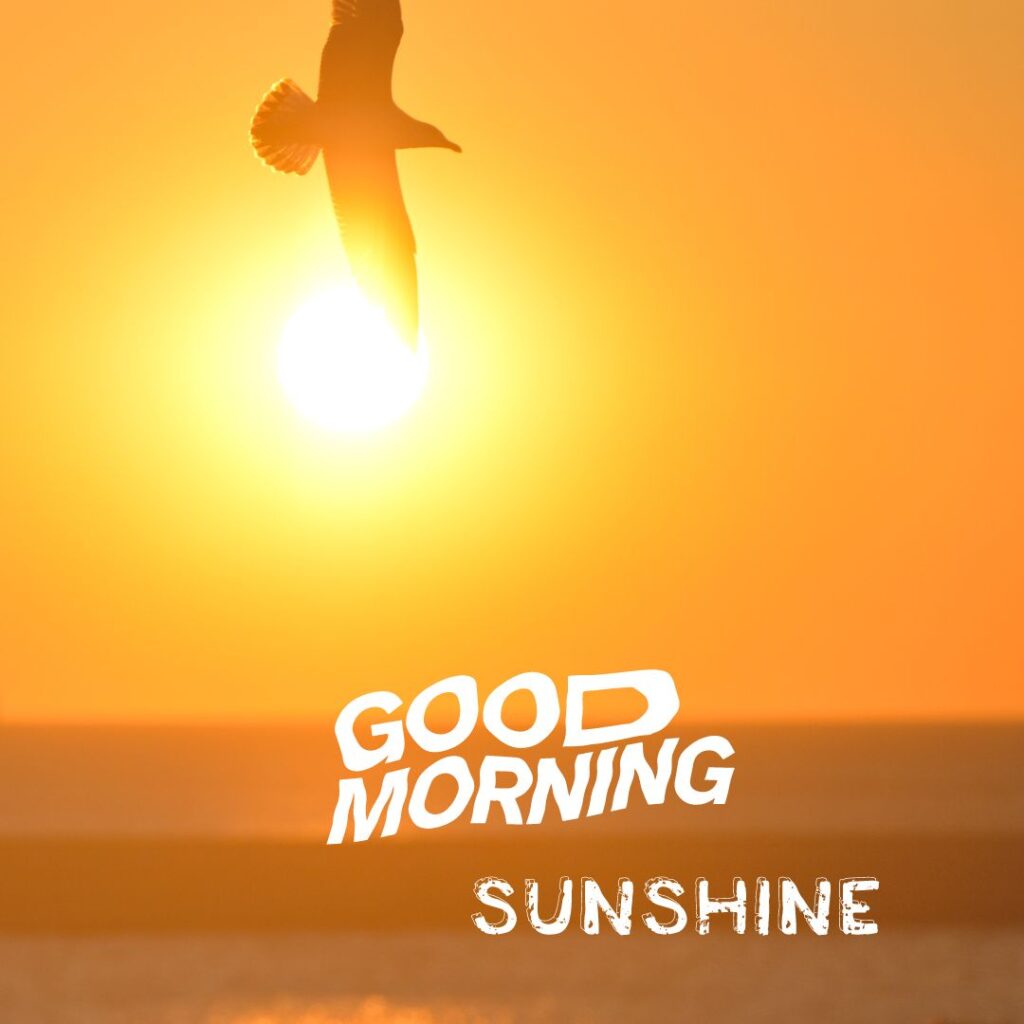 Good Morning Sunshine Images