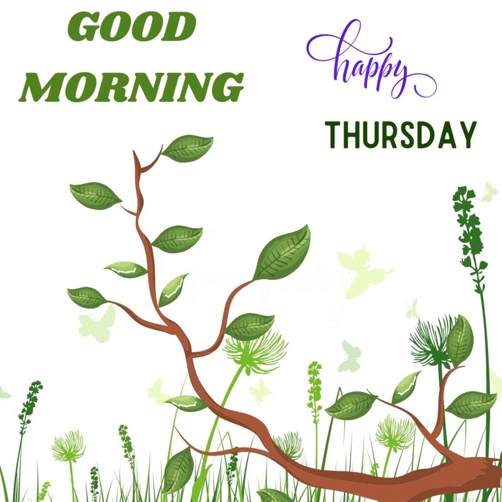 Lovely Good Morning Thursday Images