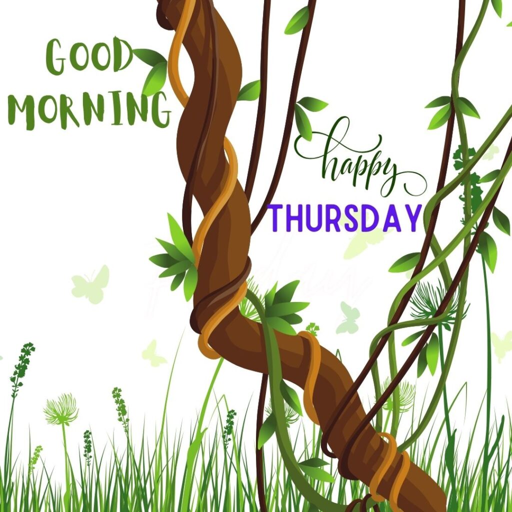 Happy Morning Thursday Images