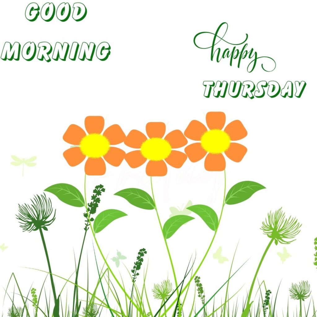 New style Good Morning Thursday Images