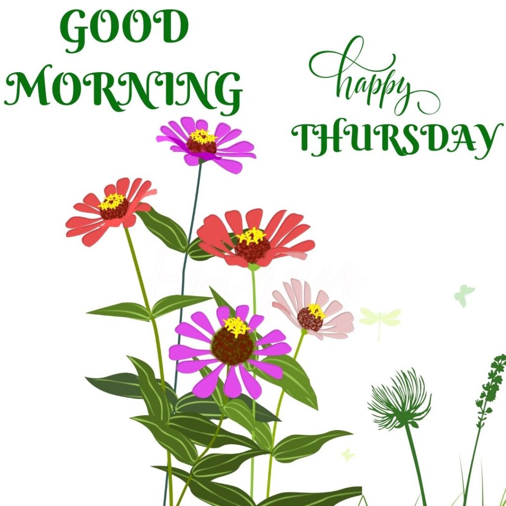 Pictures of Good Morning Thursday