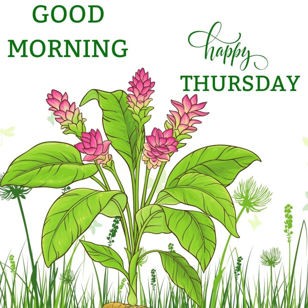 Images of Good Morning Thursday