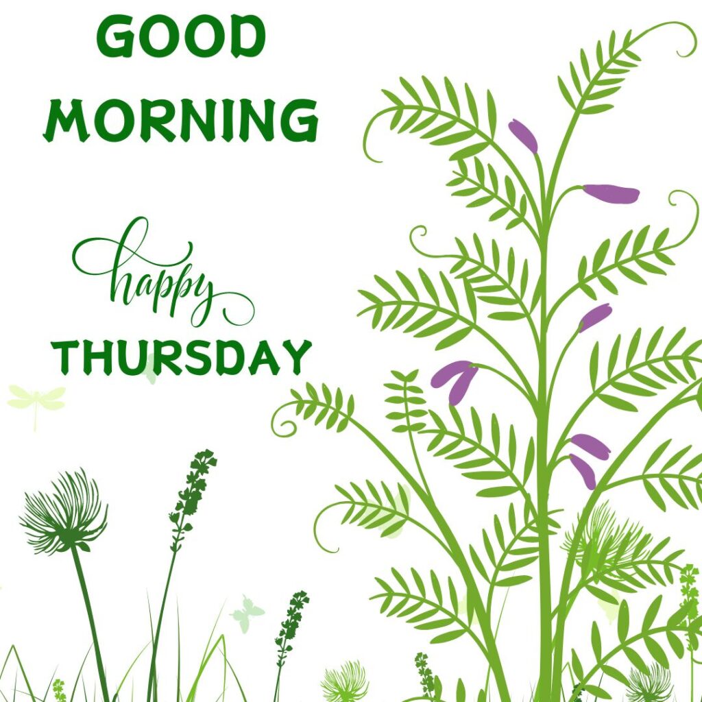 Good Morning Thursday Images download