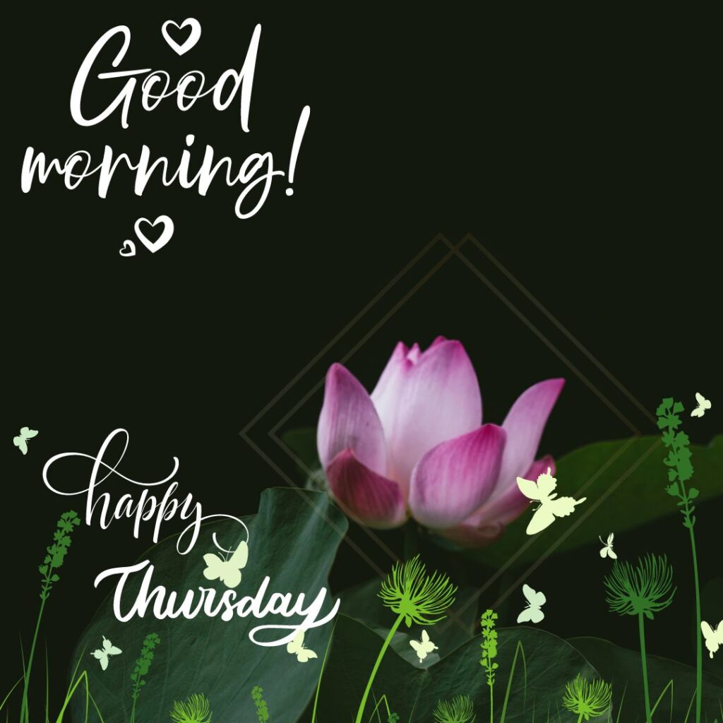 Good Morning Thursday Lotus Images