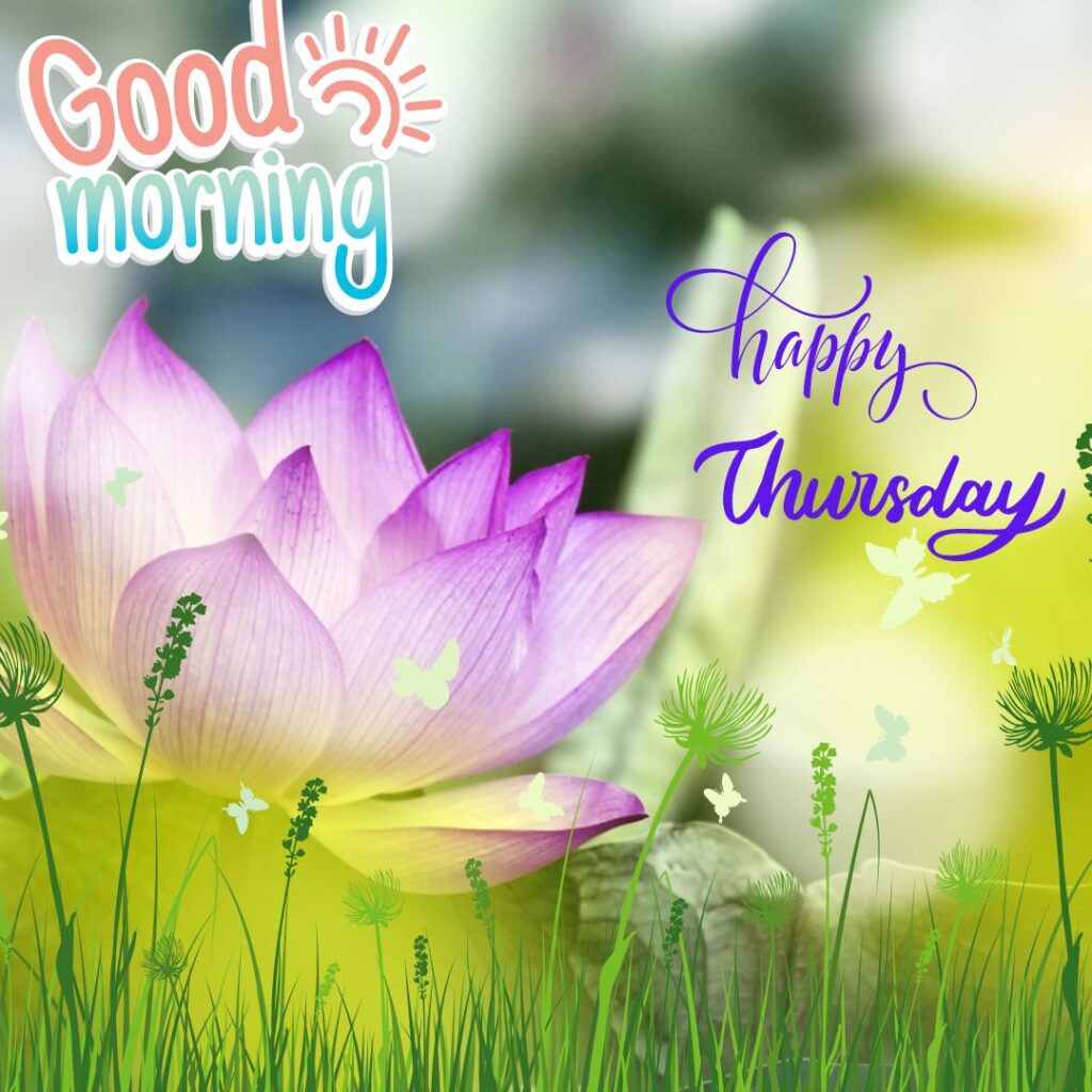 Good Morning Thursday High Quality Images