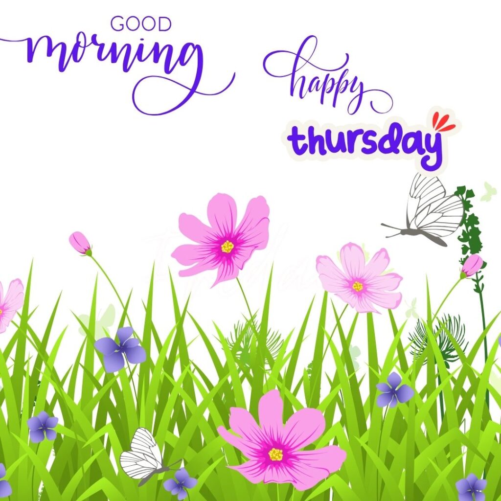 Good Morning Thursday hd Images