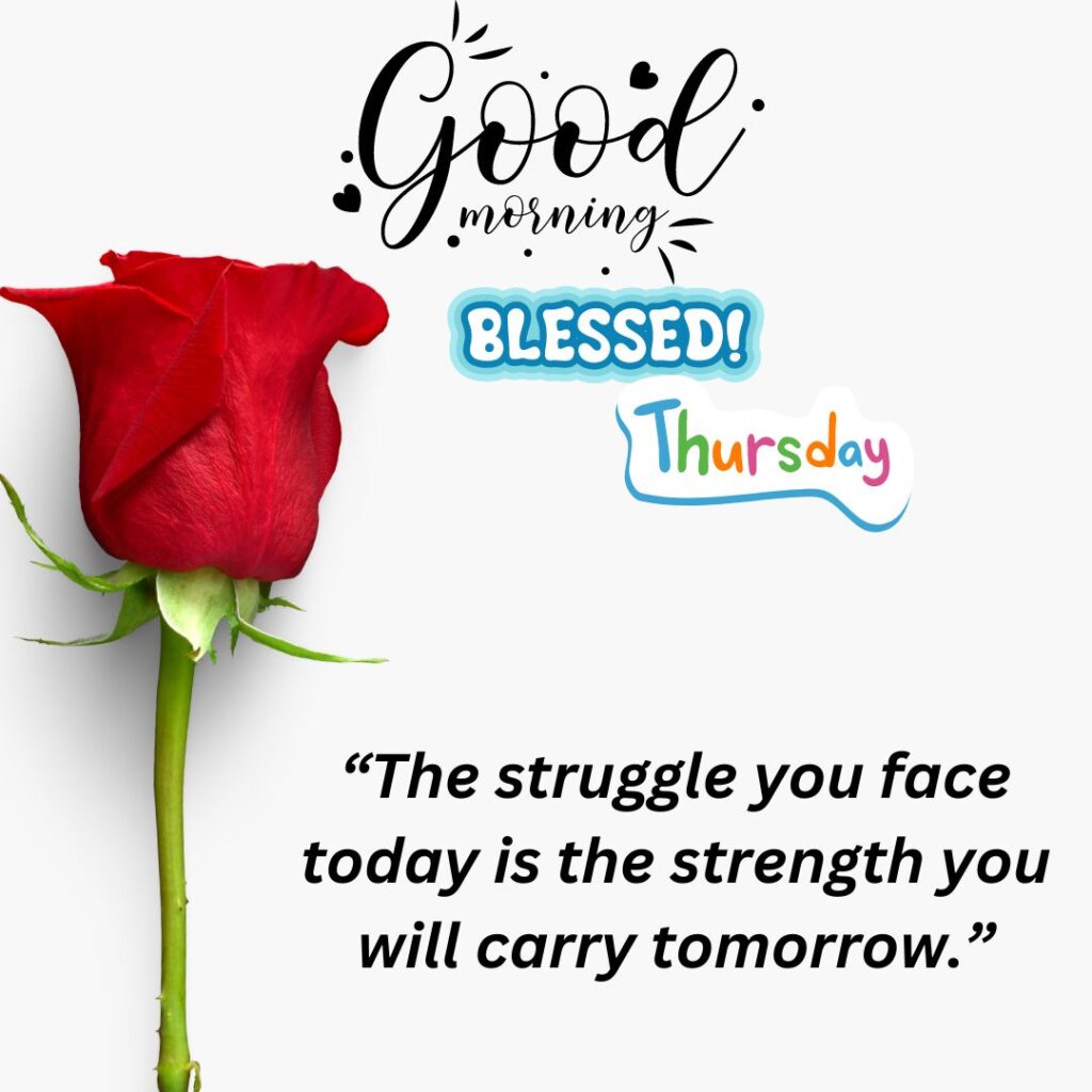 Red Roses Good Morning Thursday Quotes