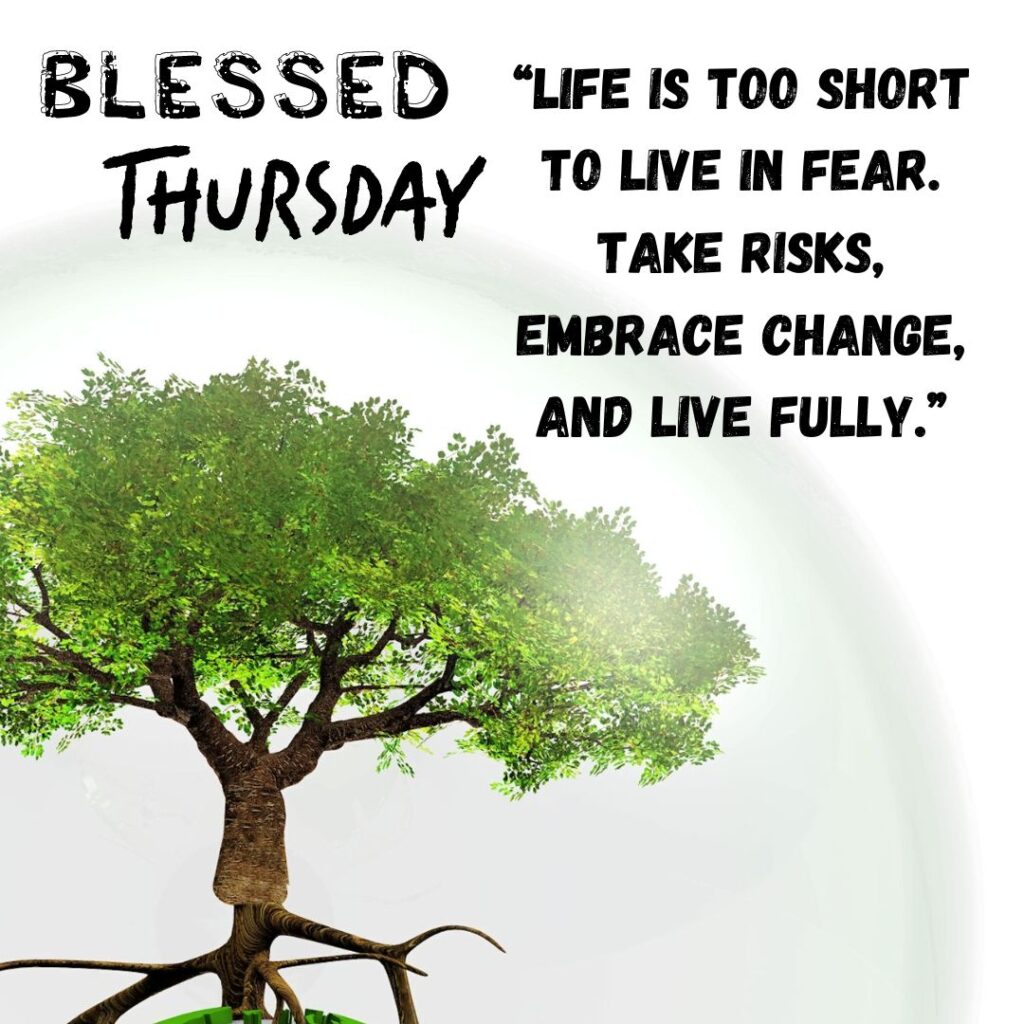 Forest Good Morning Thursday Quotes